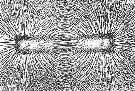 Magnetic field line