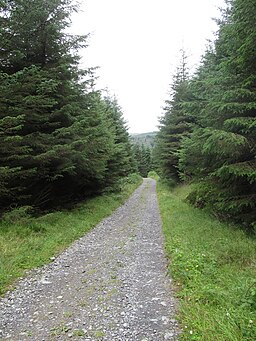 Main forest track descending parallel with the Yellow Water River - geograph.org.uk - 4622896