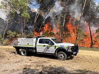 <span class="mw-page-title-main">2023 Florida wildfires</span> An overview of major wildfires in Florida during the year 2023