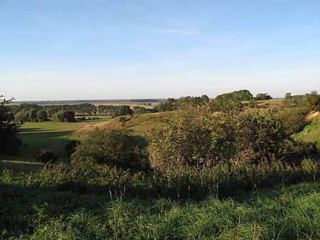 Mallnow Haenge Oderbruch