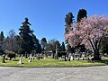 Lake View Cemetery