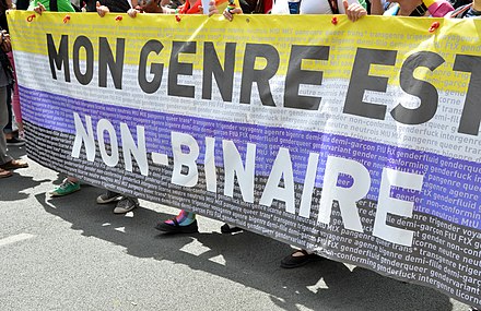 A non-binary pride flag at a parade in Paris reading "Mon genre est non-binaire" ("My gender is non-binary")