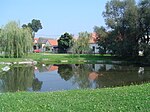 Mazelov pond.JPG