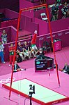 Men Gymnastics qualification (1).jpg