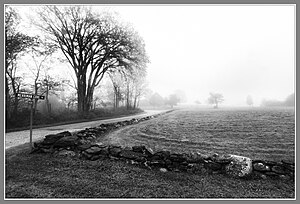 Merriman Cove Fog (38303819606).jpg