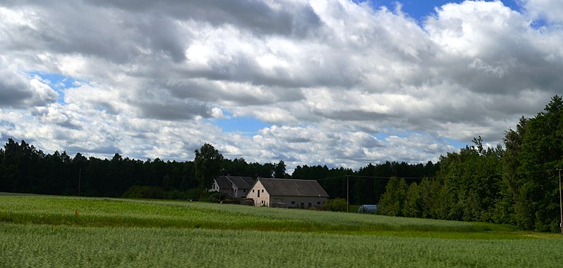 File:Metelytė.JPG