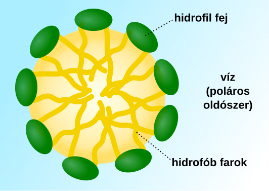 File:Micelle scheme-hu.svg