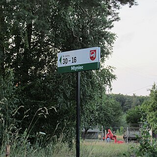 Młyniec, Lublin Voivodeship Village in Lublin Voivodeship, Poland