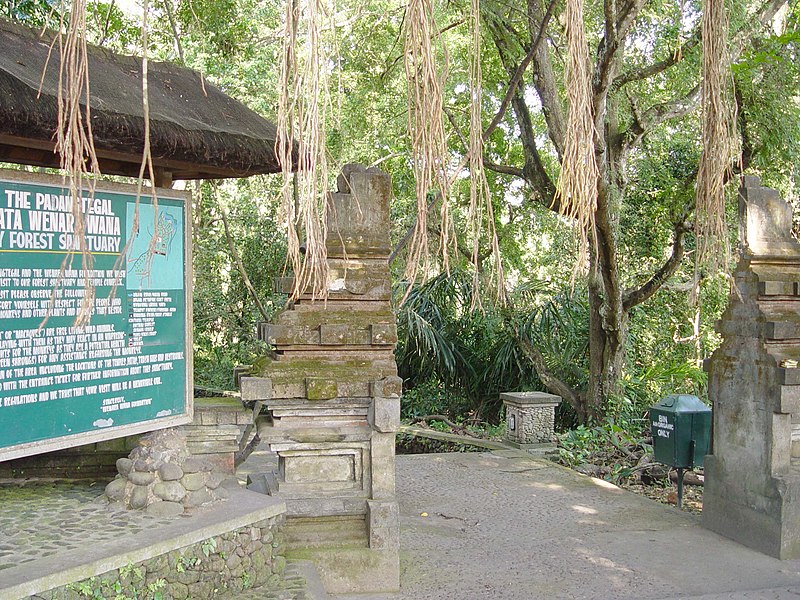 File:Monkey Forest, Ubud 200507-1.jpg