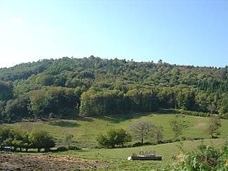 Der Mont Gargan, gesehen aus nordöstlicher Richtung von Saint-Gilles-les-Forêts