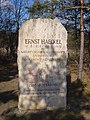 Monument to Ernst Haeckel, evolutionary biologist, at Herrenberg Jena.jpg