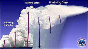 Multicell NOAA explanation1.jpg