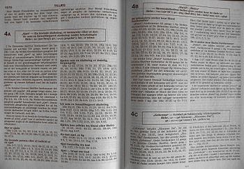 English: Example of appendix from New World Tr...