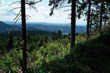 Central/North Black Forest Nature Park: view from the Hornisgrinde (highest mountain of the Northern Black Forest)