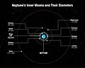 Thumbnail for File:Neptune's Inner Moons and Their Diameters (2019-04-4314).jpg