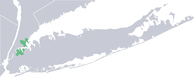 New York—Congressional District 14 2012