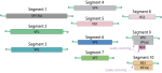 Neue Vektorgrafik