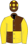 Brown and yellow quartered, yellow sleeves, brown cap, yellow spots