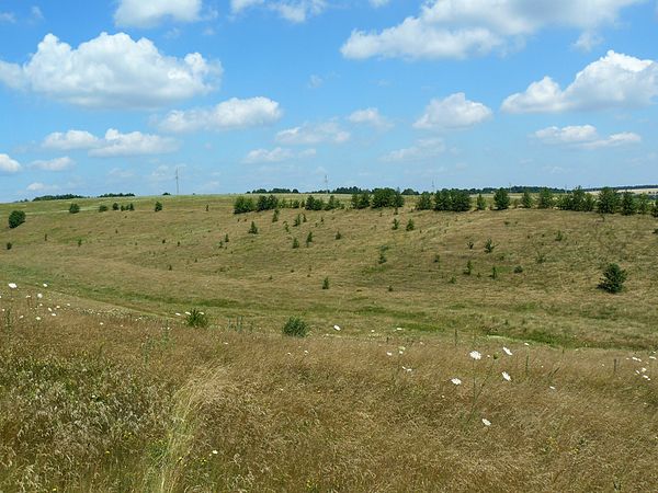 Балка рельеф. Балка Долина. Балка Суходол. Балки в степи.