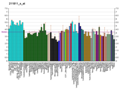 PBB GE PCDHA6 211811 s bei fs.png