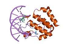 PDB 1j3e EBI.jpg