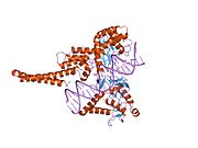 PDB 1r49 EBI.jpg