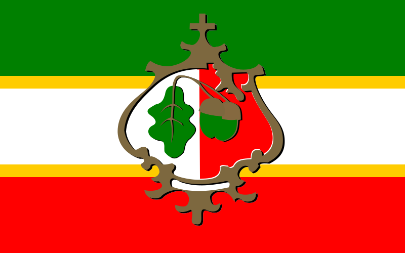 File:POL gmina Żołynia flag.svg