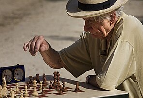 Un retraité jouant aux échecs au jardin du Luxembourg, à Paris. (définition réelle 4 035 × 2 750)