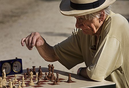 ไฟล์:Paris - Playing chess at the Jardins du Luxembourg - 2966.jpg