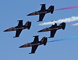 L-39 della pattuglia acrobatica americana "Patriots"