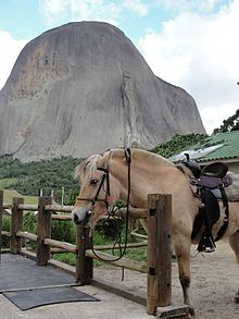 Cavallo ai piedi del Pico Pedra Azul
