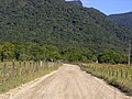 Pequena estrada na região do Piraí (Little road on the Piraí's place) - panoramio.jpg
