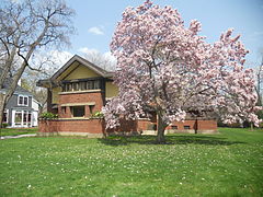 Peter A. Beachy House (1906), 238 Forest Avenue, by Frank Lloyd Wright, Oak Park, IL.jpg