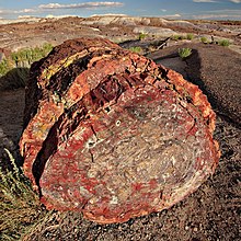 End-on view of a large reddish log in an eroded landscape