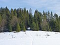 's Winters langs een bosrand in het nationaal park.