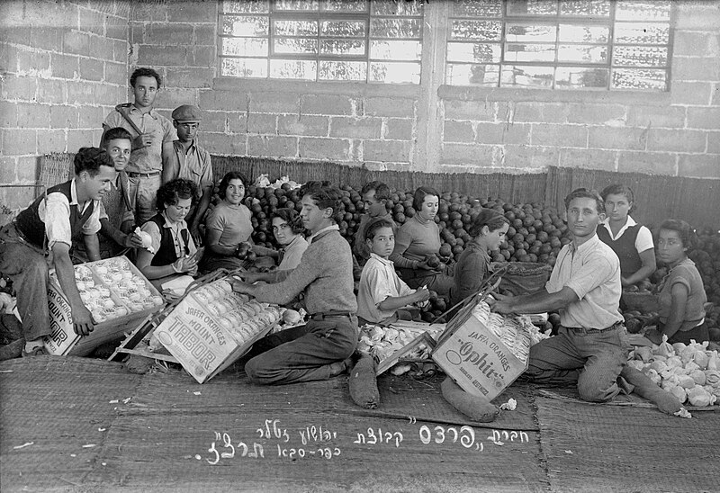 File:PikiWiki Israel 12705 Workers in Kfar saba.JPG