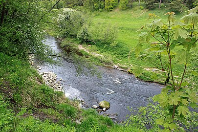 Река Пирита в микрорайоне Козе, Таллин