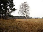 Naturschutzgebiet Plöwensches Seebruch