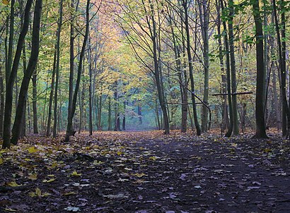 So kommt man zu Plänterwald mit den Öffentlichen - Mehr zum Ort Hier