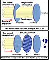 Vorschaubild der Version vom 18:57, 26. Dez. 2010