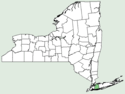Prenanthes × mainensis NY-dist-map.png