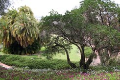 Parque presidio