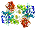 Vignette pour Cytochrome P450 réductase