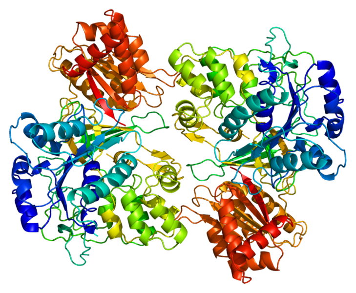 File:Protein POR PDB 1amo.png