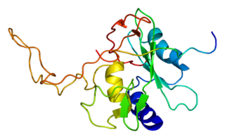 <span class="mw-page-title-main">SOCS3</span> Protein