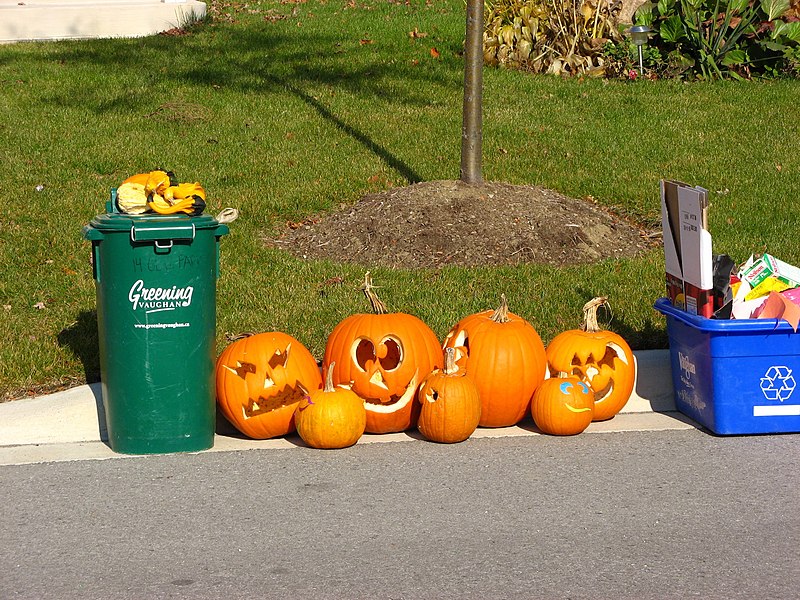 File:Pumpkins after Halloween.jpg