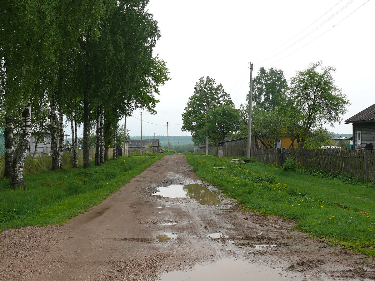 Новгородский р н. Деревня Плашкино Новгородской области. Рышево Новгородский район. Деревня Рышево Новгородская область. Новгородская область дер пятница.