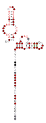 Flavi_ISFV_xrRNA Secondary structure taken from the Rfam database. Family RF03541