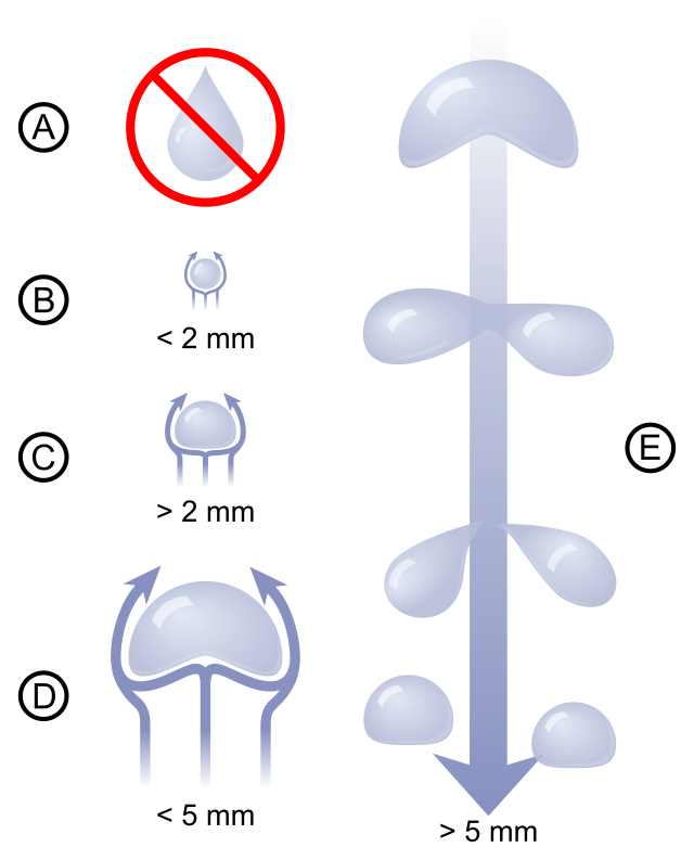 Diagram memperlihatkan bahwa butir hujan terkecil berbentuk hampir bulat. Ketika butir semakin besar, bentuknya semakin pepat di bawah seperti roti hamburger. Butir hujan terbesar terpisah menjadi butir-butir kecil karena resistensi air yang membuatnya semakin tidak stabil.