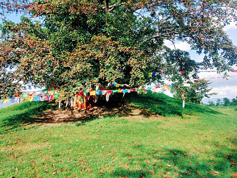 File:Ramgram Stupa 16.jpg